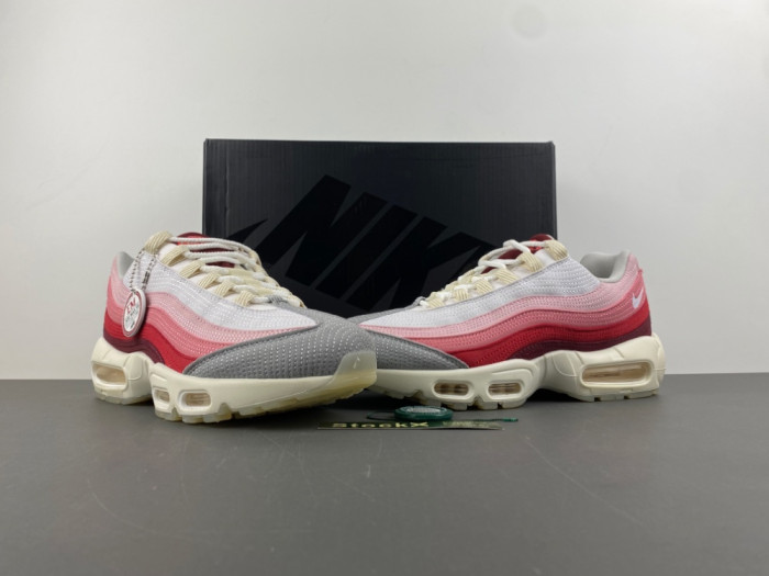 Nike Air Max 95 SP FB2709-300