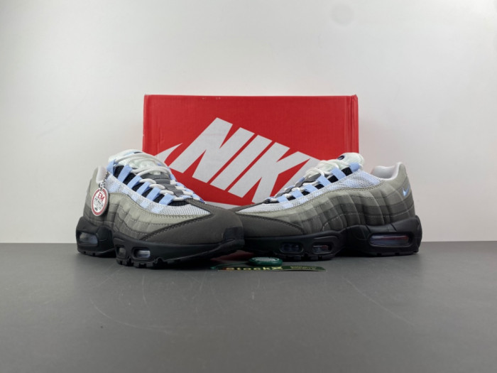Nike Air Max 95 SP FB2709-301