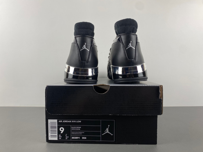Jordan 17 Black Metallic Silver 303891-004